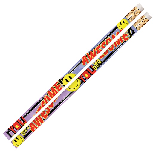 [D2473 MSG] 12ct You Are Awesome Pencils