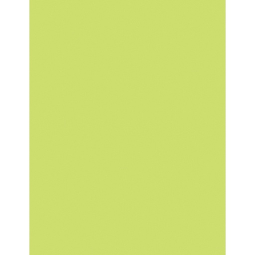 [102053 PAC] 500ct 8.5x11 Lime Multi Purpose Paper