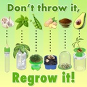 Regrow Science Lab