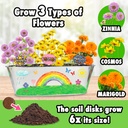 MiracleGro® Paint & Plant My First Flower Growing Kit