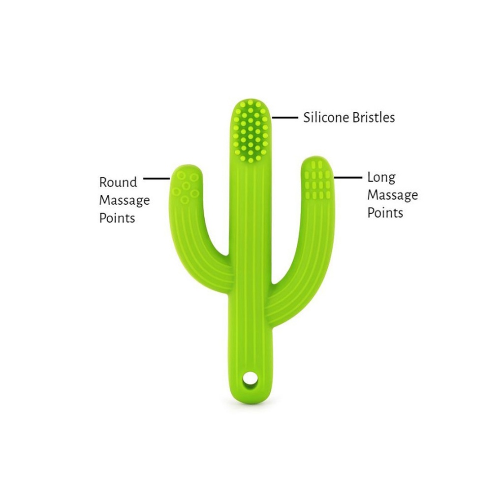 Cactus Toothbrush Teether