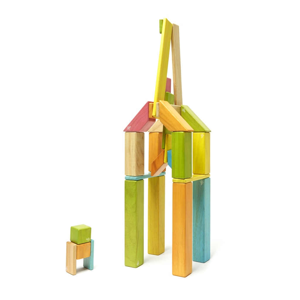 Tints Magnetic Wooden Blocks 42-Piece Set