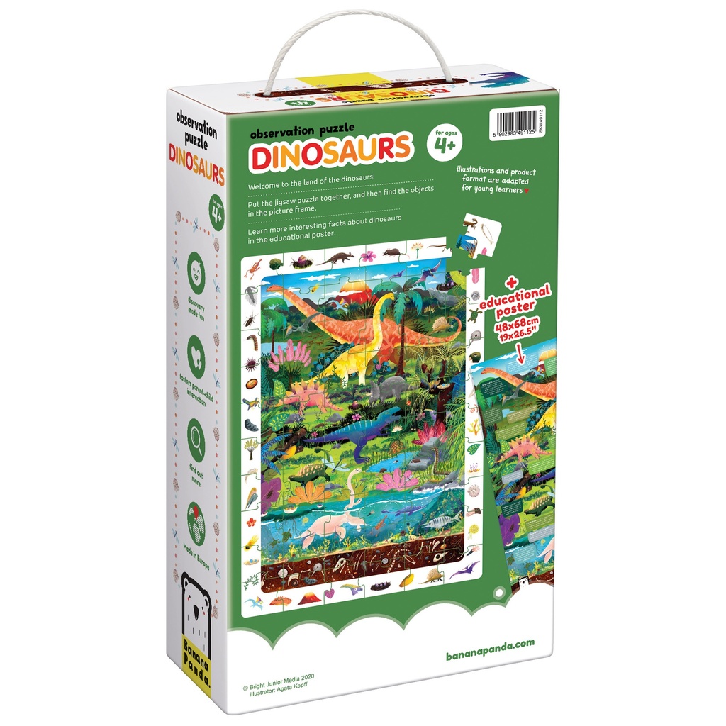 Observation Puzzle Dinosaurs