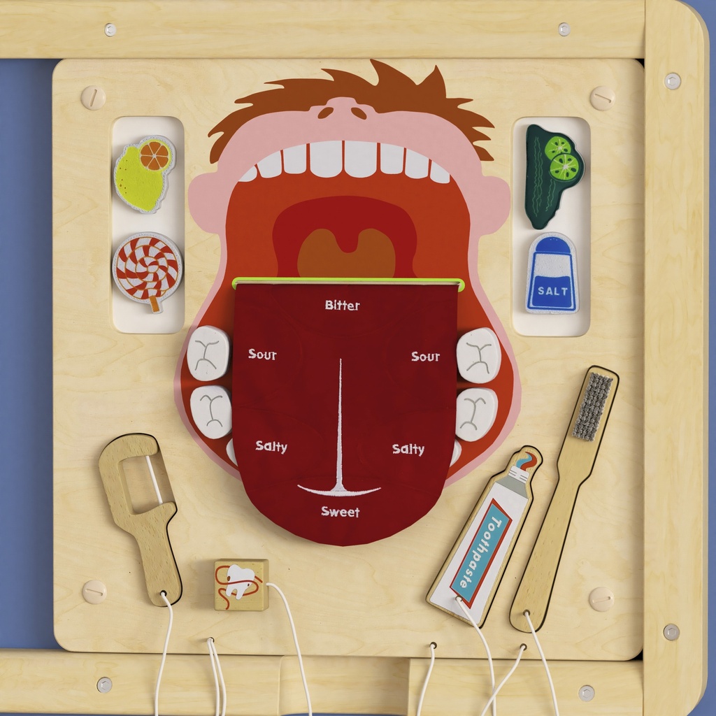 Dental Hygiene Activity Board Accessory Panel