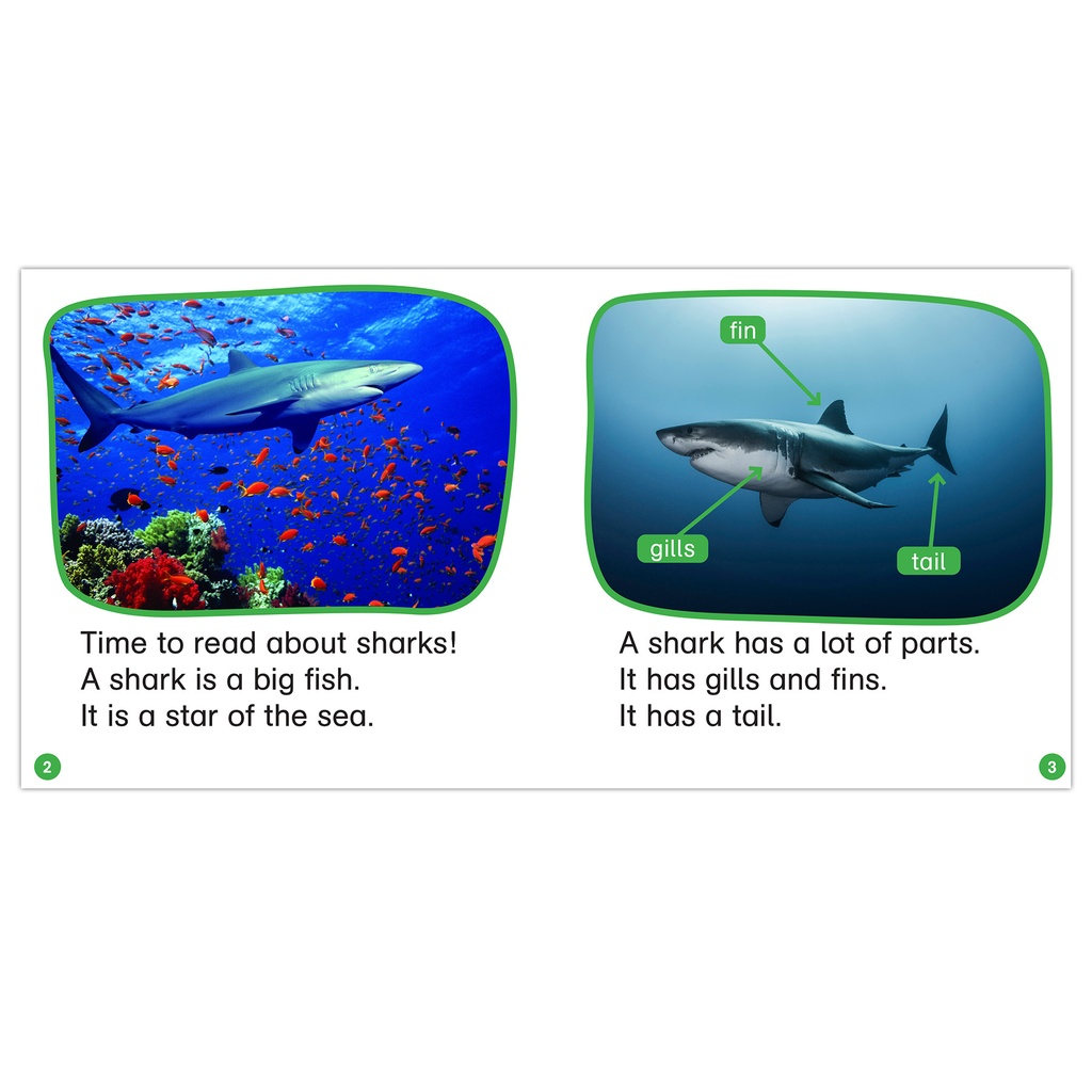 Nonfiction Phonics Readers: SET 3 (Multi-Copy Set)