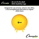 FitPro 65cm Ball with Stability Legs