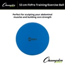 Blue 53cm FitPro Training & Exercise Ball