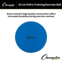 Blue 53cm FitPro Training & Exercise Ball