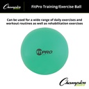 Green 42cm Fitpro Training & Exercise Ball