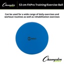 Blue 53cm FitPro Training & Exercise Ball