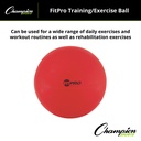 Red 65cm FitPro Training & Exercise Ball