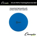 Blue 53cm FitPro Training & Exercise Ball