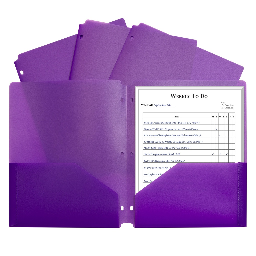 Two-Pocket Heavyweight Poly Portfolio Folder with Three-Hole Punch, Purple, Pack of 25