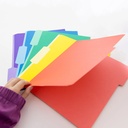 1/3 Cut Letter Size Color File Folders Box of 100