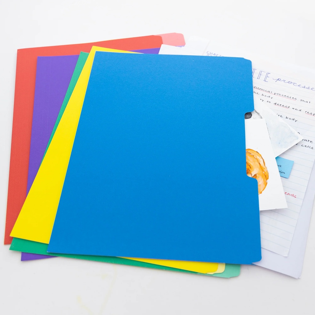 1/3 Cut Letter Size Color File Folders Box of 100