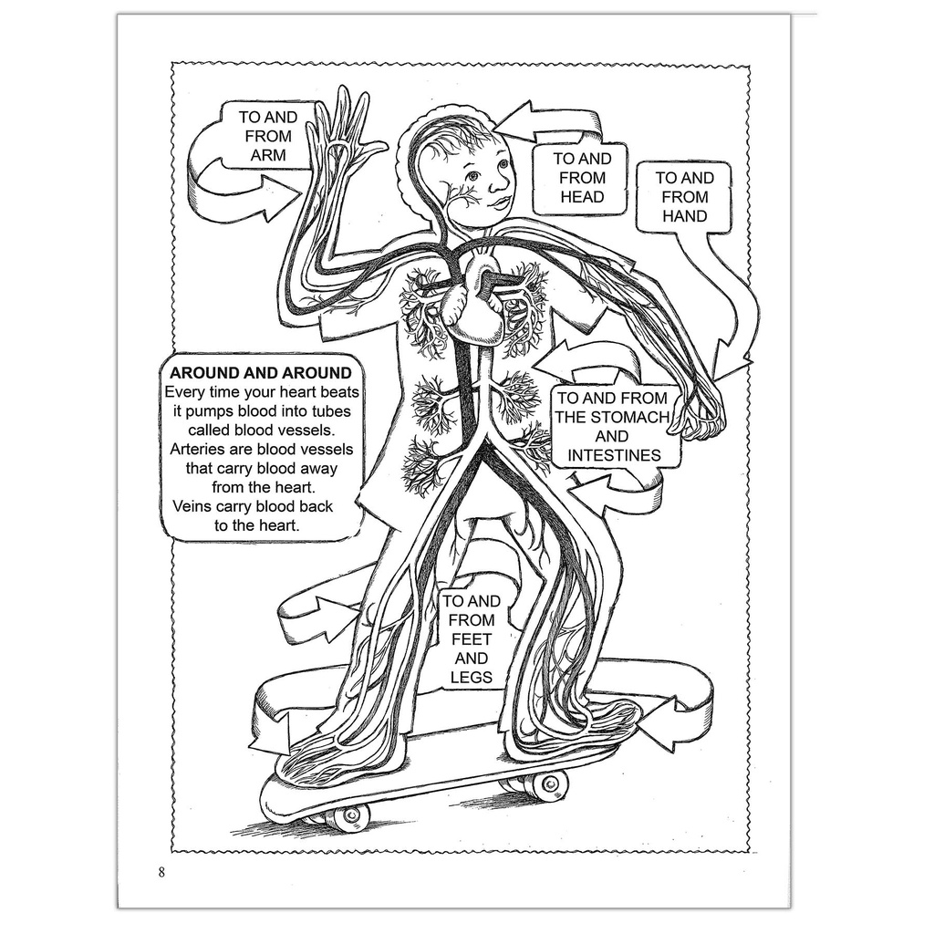 My First Human Body Coloring Book