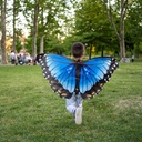 Blue Dress-Up Morpho Butterfly Wings