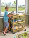 BB007-6-S Small Small Bamboo Book Browser Cart with Sage Tubs - E HR.jpg