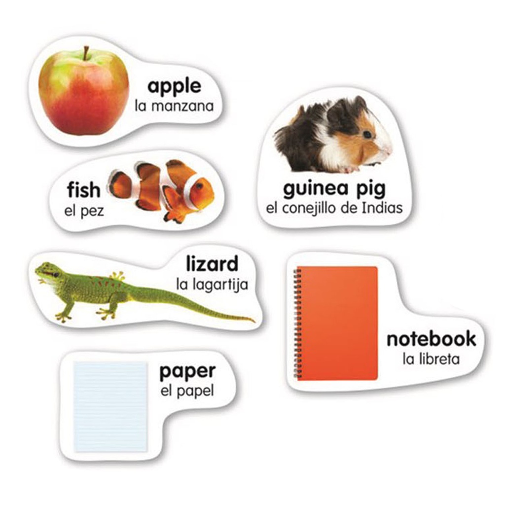 English-Spanish Photo Word Wall Bulletin Board Set