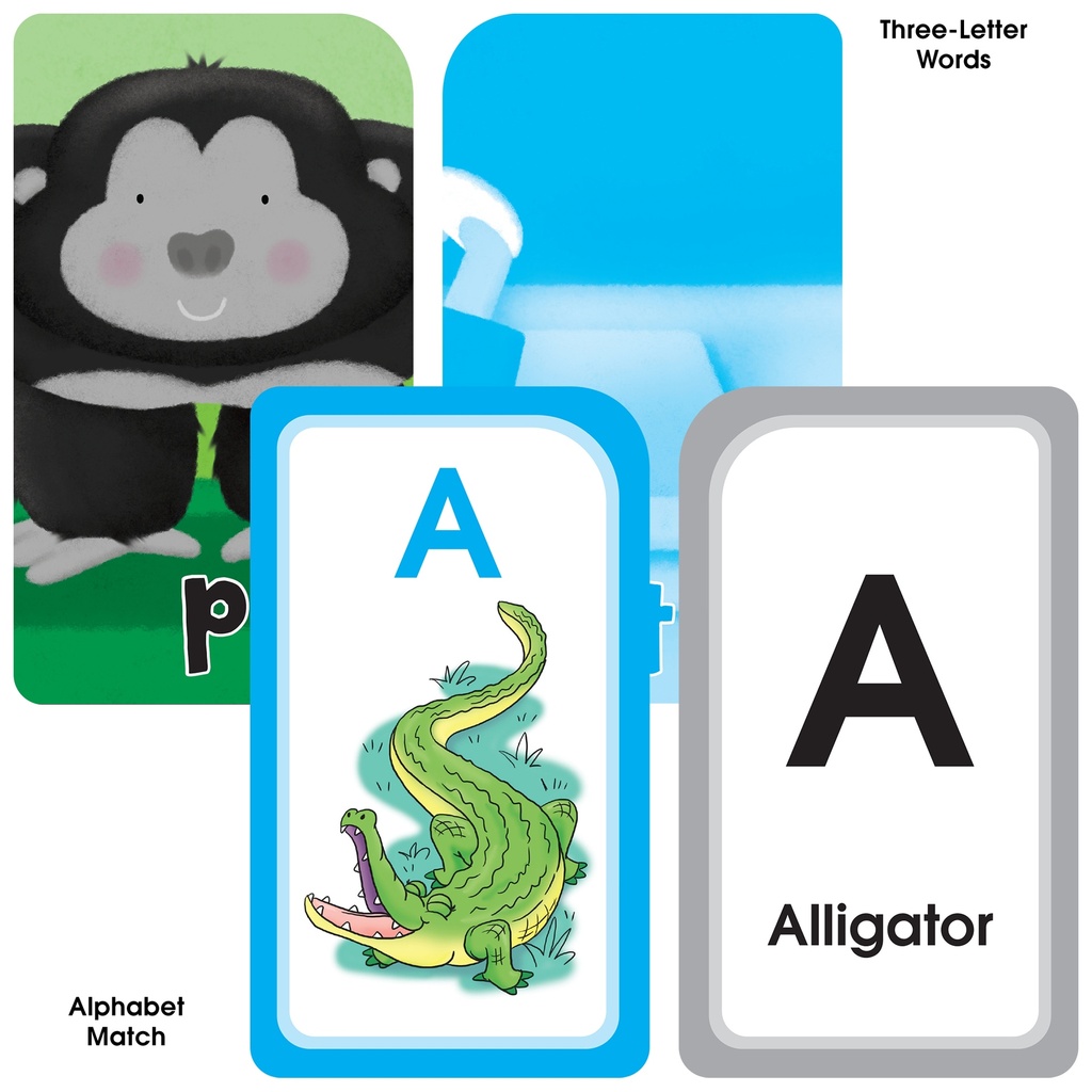 Alphabet Flash Card, 4-Pack