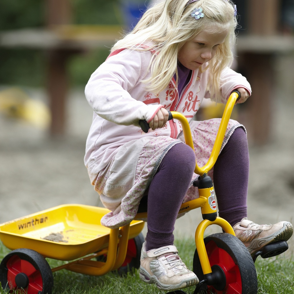 Tricycle with Tray