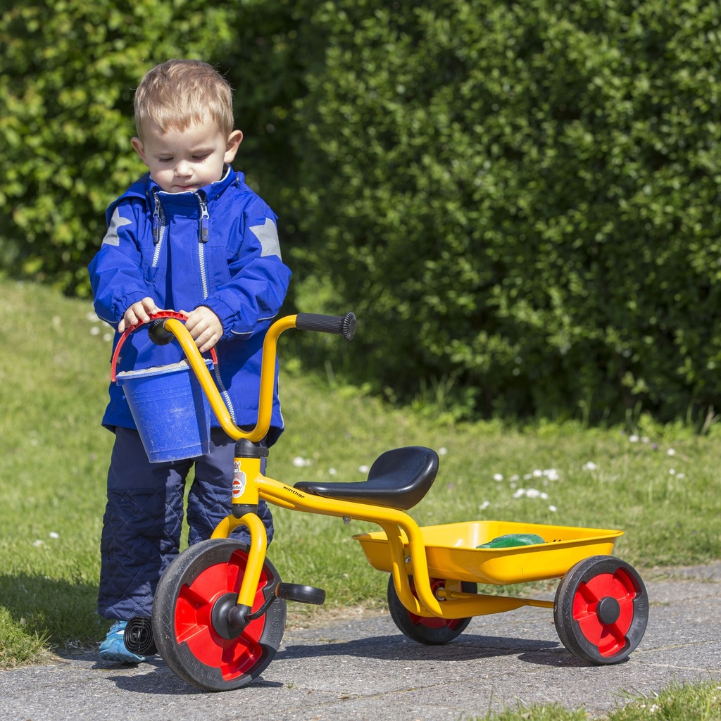 Tricycle with Tray