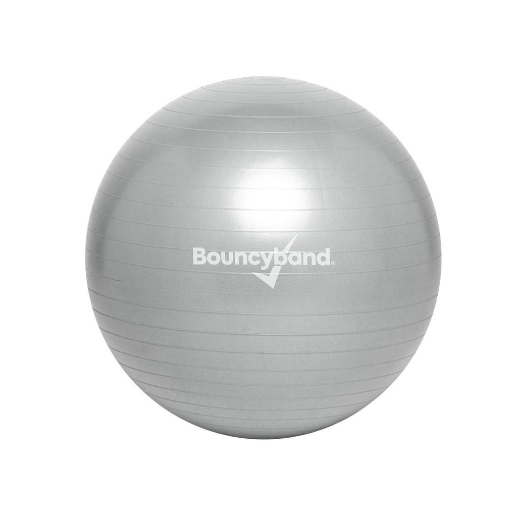 Balance Ball, 55cm, Silver