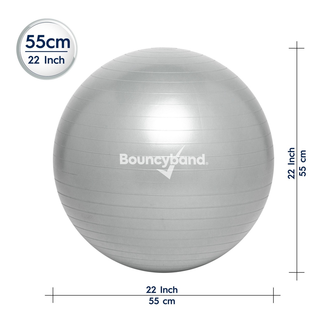 Balance Ball, 55cm, Silver