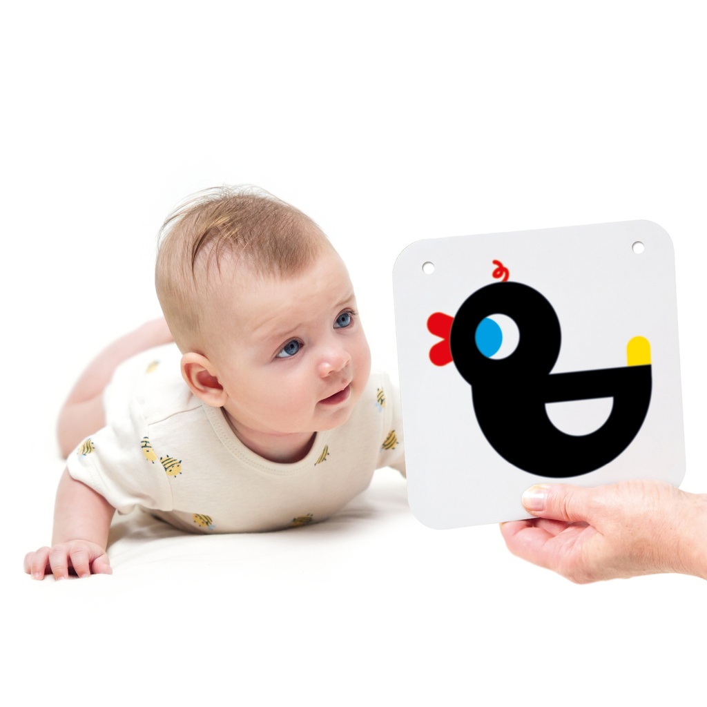 High Contrast Baby Cards, 0-3+ Months