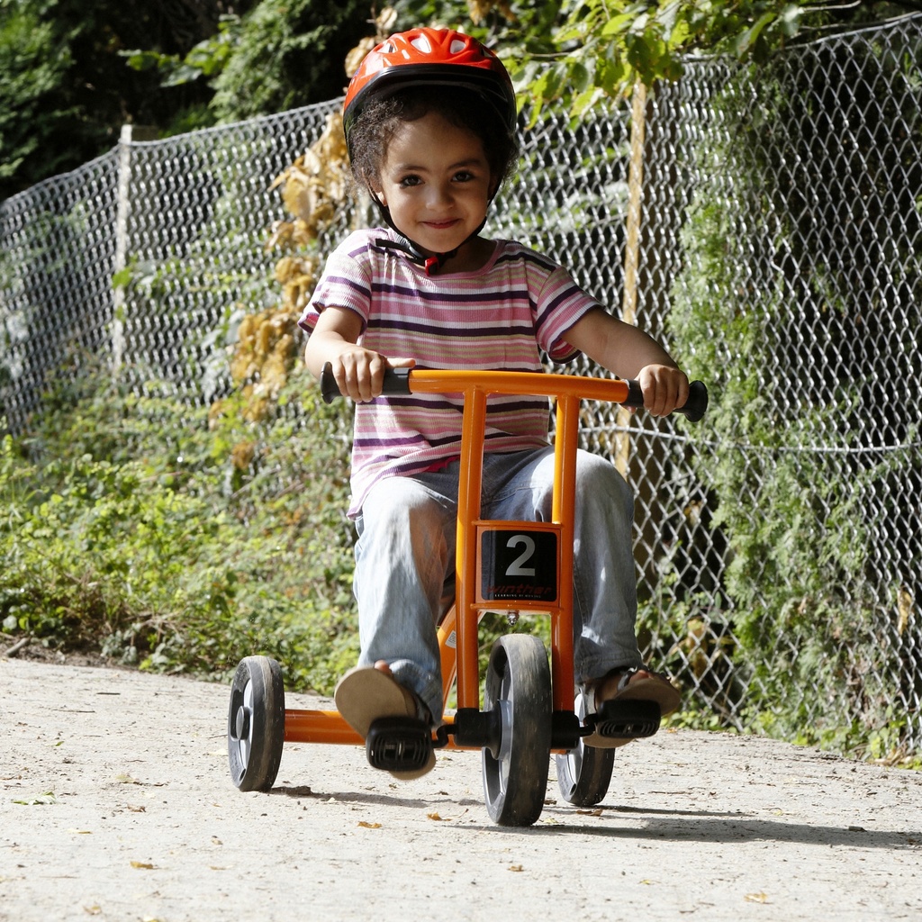 Circleline Tricycle, Small