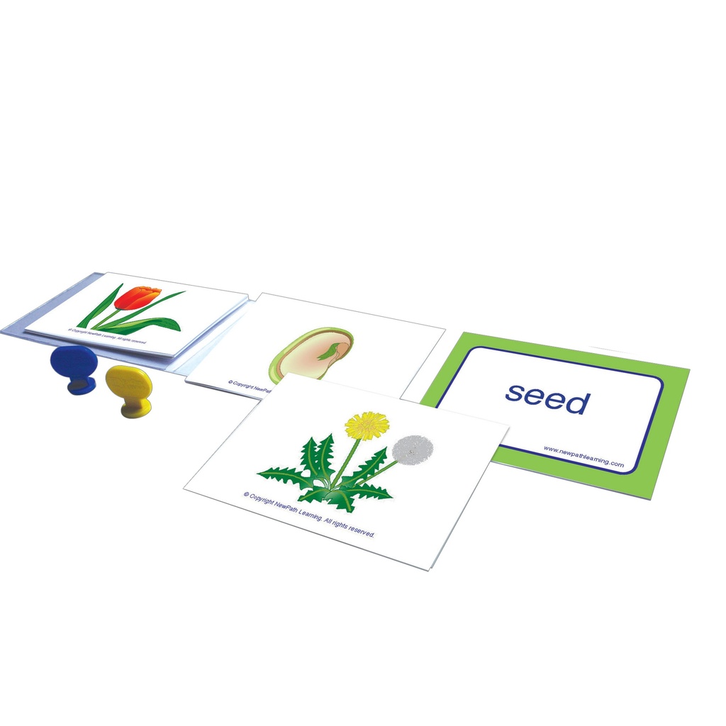 Science Readiness Learning Center Game: All About Plants