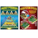 Ecosystems Posters Set of 4