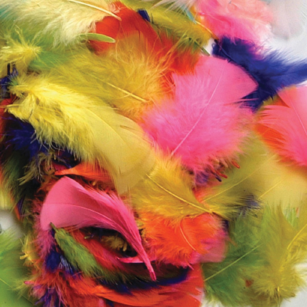 Assorted Bright Hues Turkey Plumage Feathers 14 grams