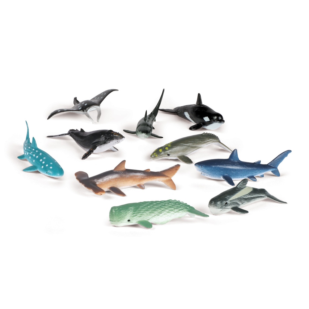 Ocean Creatures Set of 50