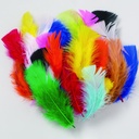 Assorted Bright Hues Turkey Plumage Feathers 1 oz.