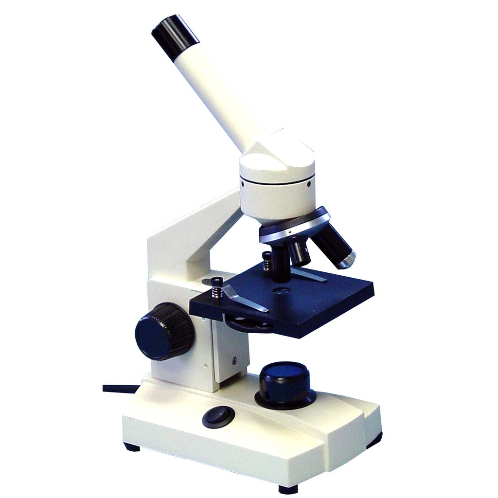 Basic Compound Microscope