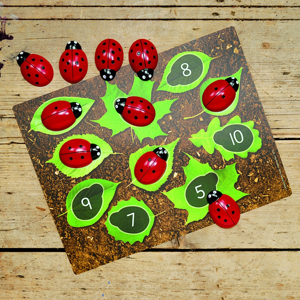 Ladybugs Early Number Card