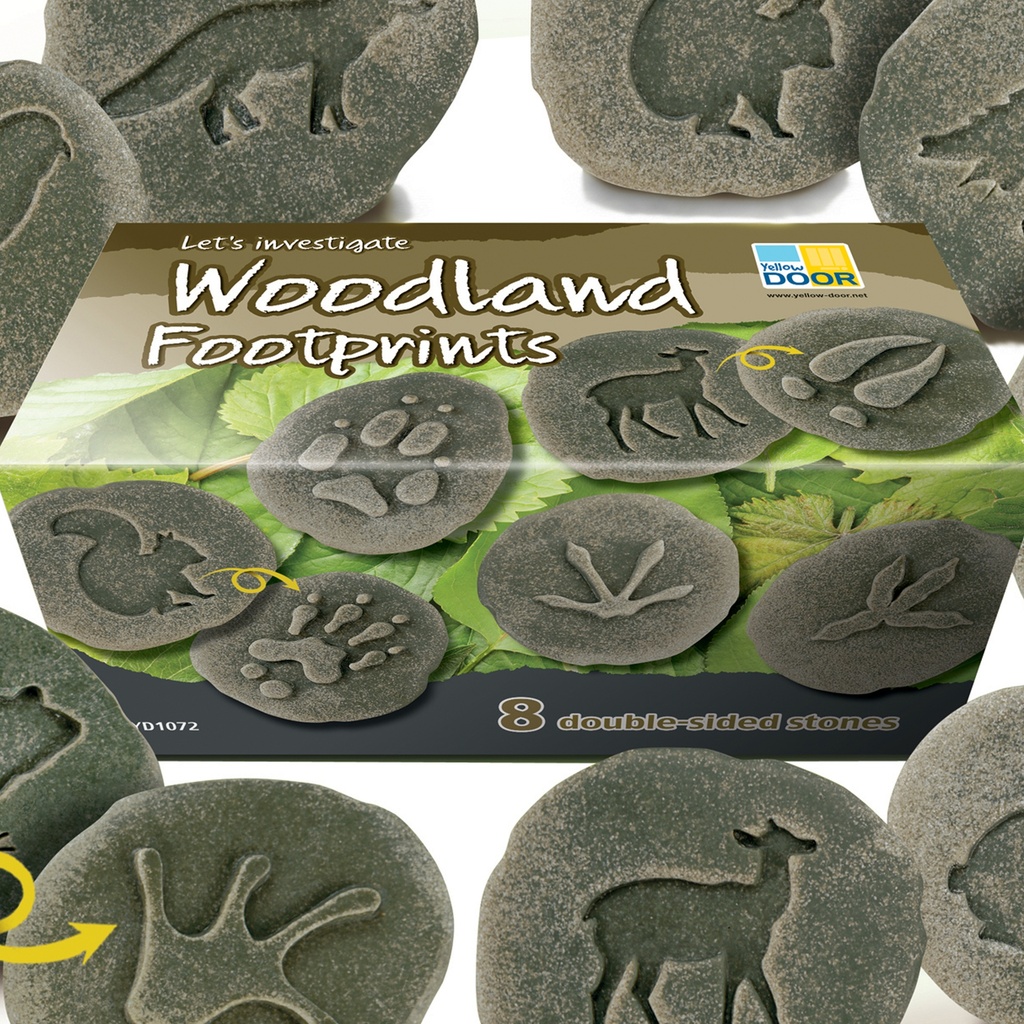 Let's Investigate Woodland Footprint Stones