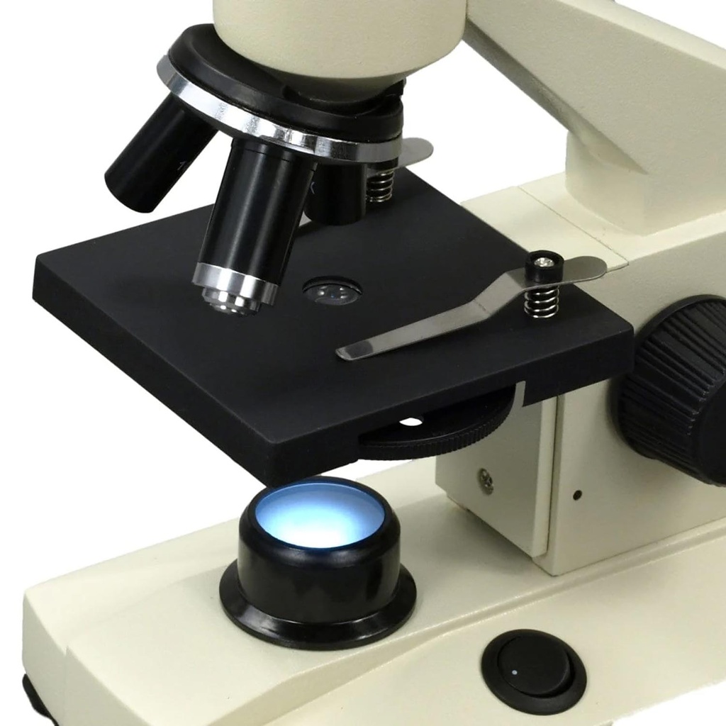 Basic Compound Microscope