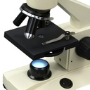 Basic Compound Microscope