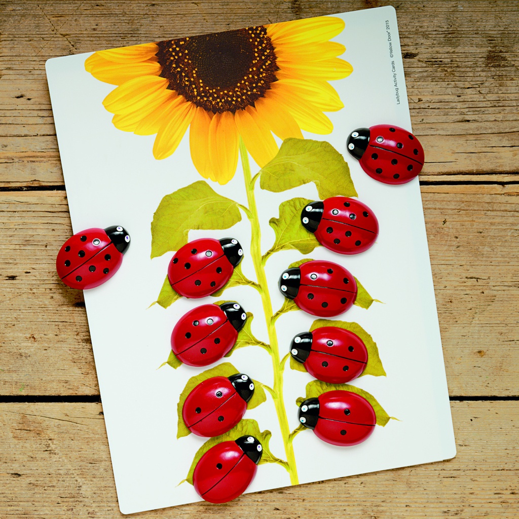 Ladybugs Early Number Card