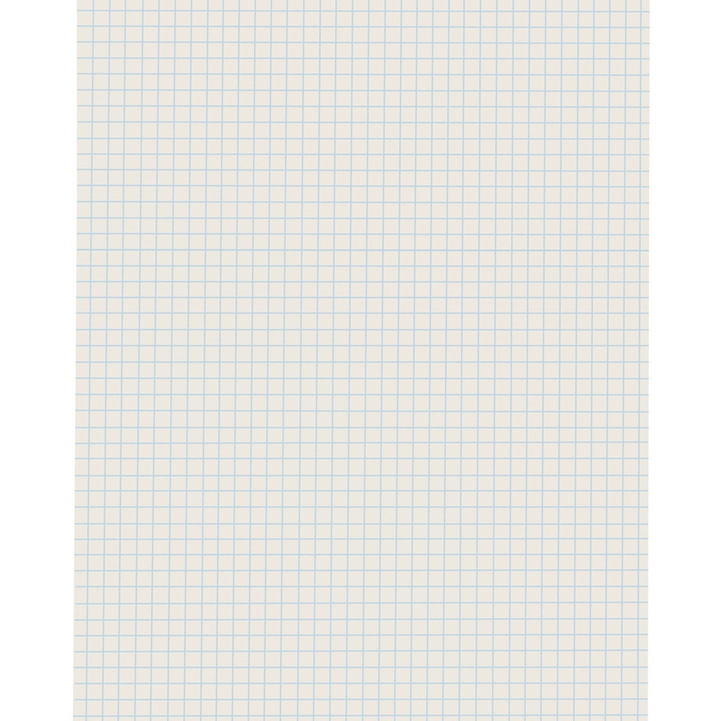 White 9" x 12" 1/4" Quadrille Ruled Grid Ruled Drawing Paper 500 Sheets