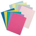 Pastel & Bright 8 1/2" x 11" Card Stock Assortment  250 Sheets