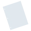 White 8 1/2" x 11" 2-sided 1/4" Quadrille Ruled Graphing Paper 500 Sheets