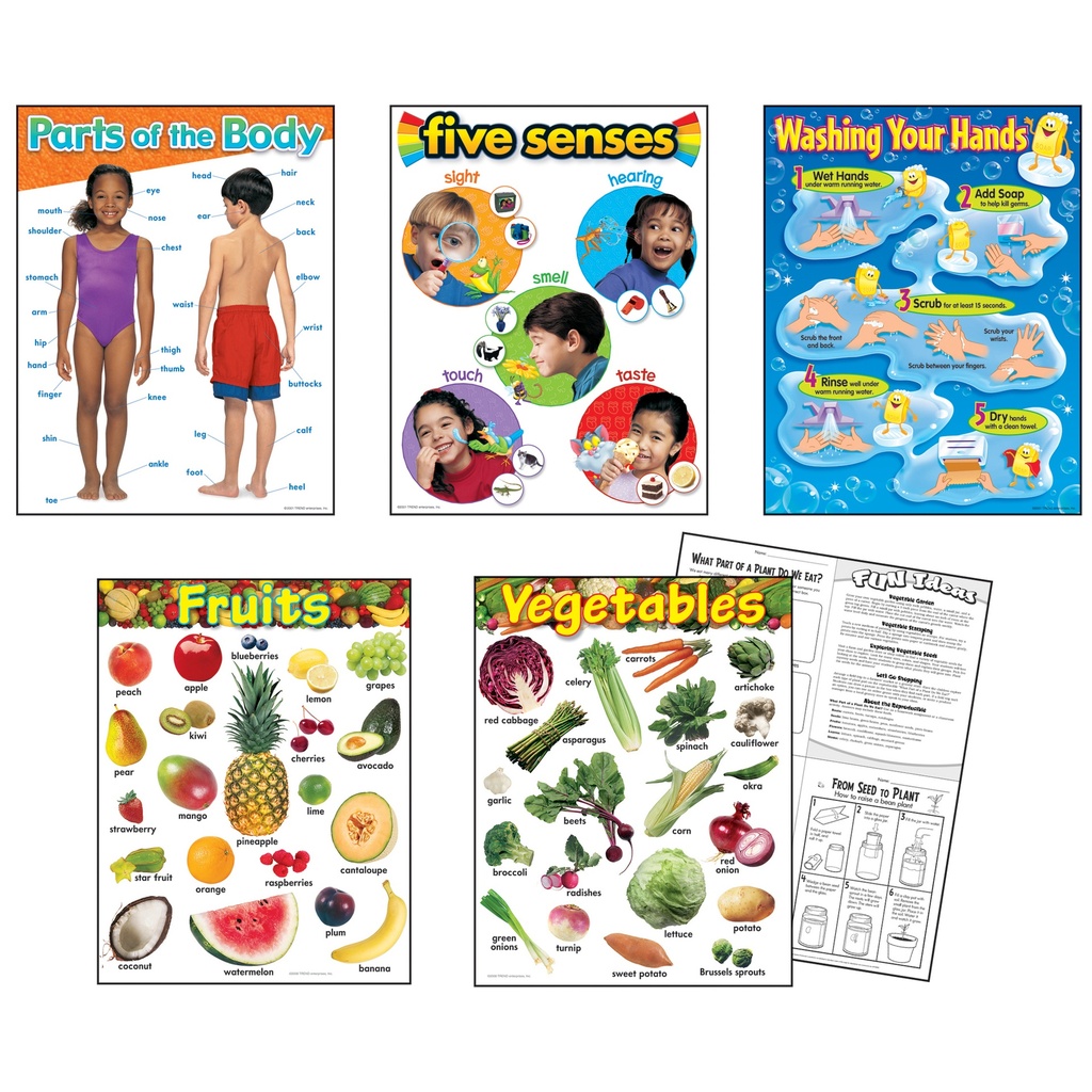 Healthy Living Learning Charts Combo Pack of 5