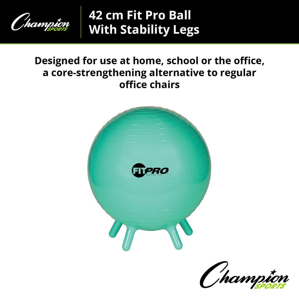 42cm FitPro Ball with Stability Legs