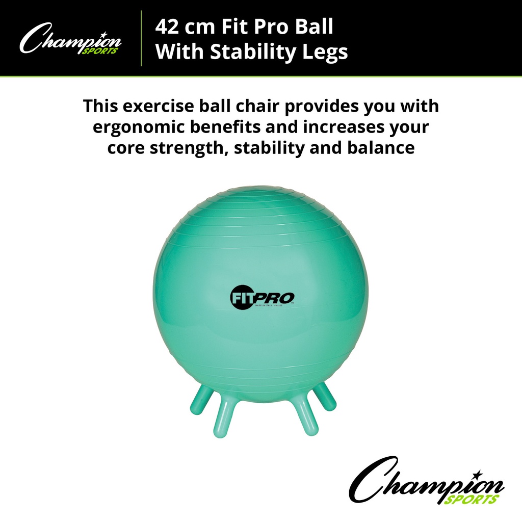 42cm FitPro Ball with Stability Legs