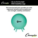 42cm FitPro Ball with Stability Legs