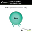 42cm FitPro Ball with Stability Legs