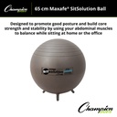 65cm MAXAFE® Sitsolution Ball with Stability Legs